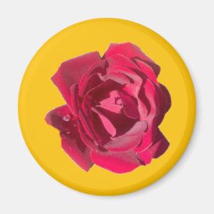 ÍMAN ROSA F