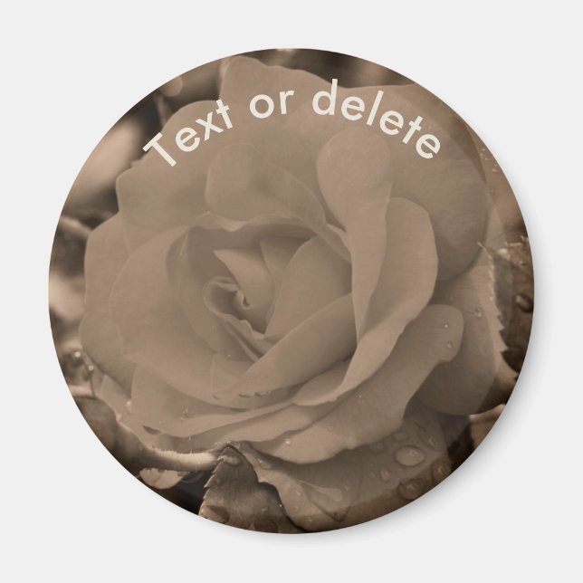 Íman Rosa Flor Personalizada Sépia Vintage (Frente)