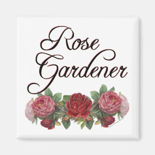 Íman Rosa Gardener Say com Rosas