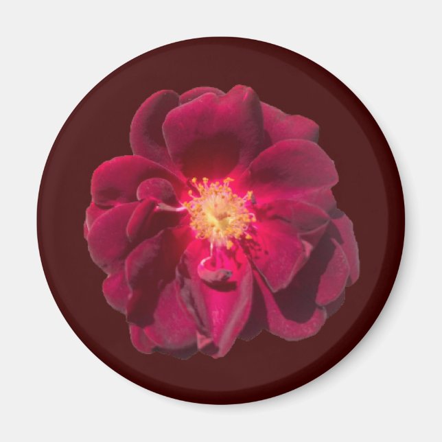 ÍMAN ROSA H (Frente)