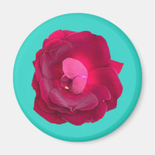 ÍMAN ROSA I