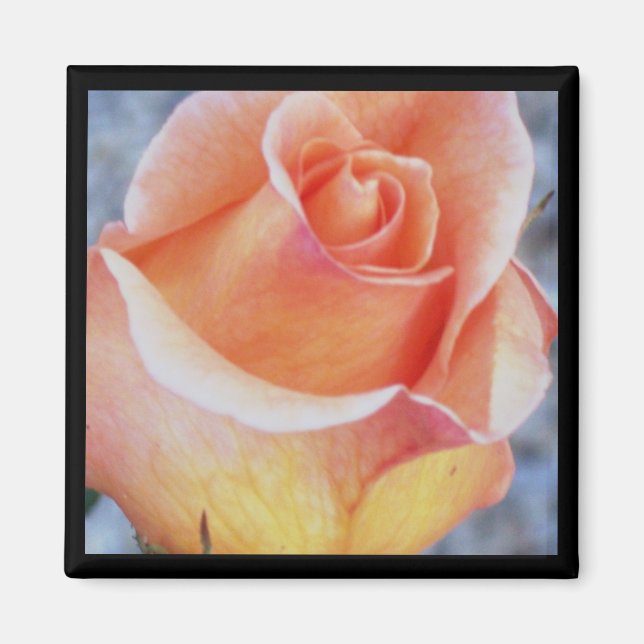 Íman rosa laranja (Frente)