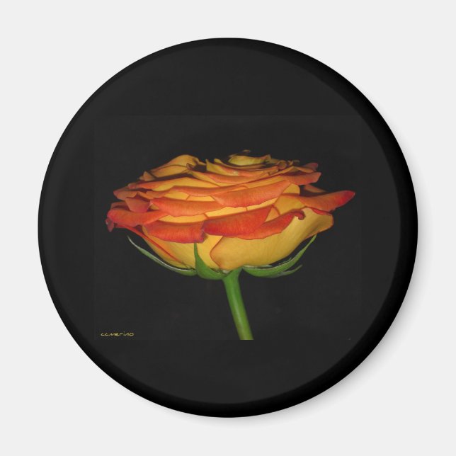 Íman rosa laranja e amarela (Frente)
