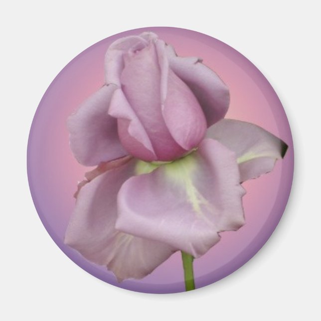 Íman Rosa lavanda (Frente)