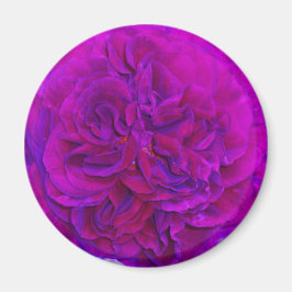 Íman Rosa Magenta Puff