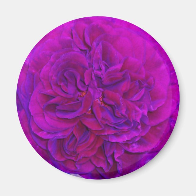 Íman Rosa Magenta Puff (Frente)