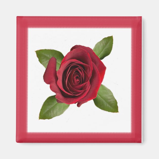 Íman Rosa Magnet (Frente)