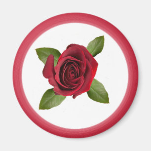 Íman Rosa Magnet