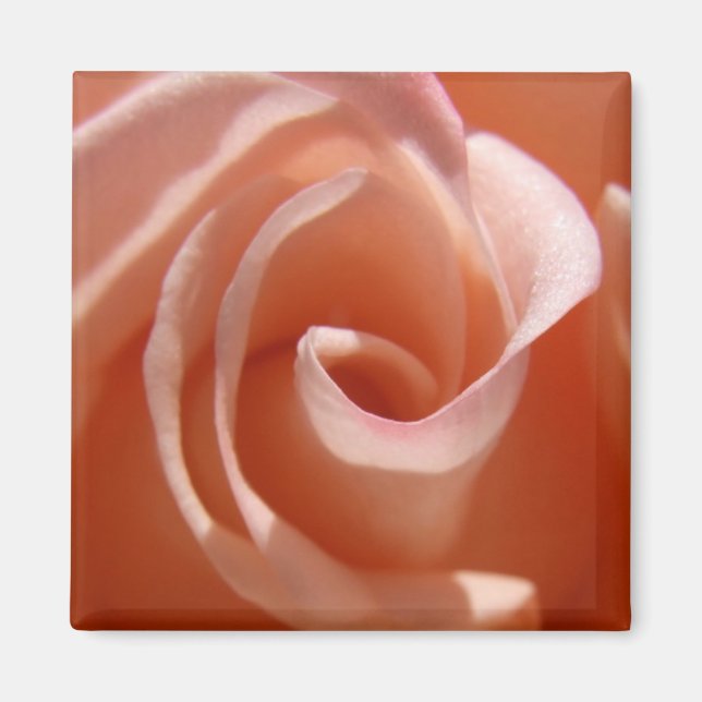 Íman Rosa Magnet (Frente)