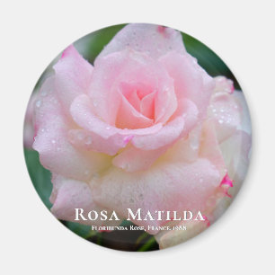Íman Rosa Matilda