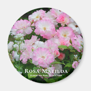 Íman Rosa Matilda ÍMÃ