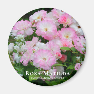 Íman Rosa Matilda ÍMÃ