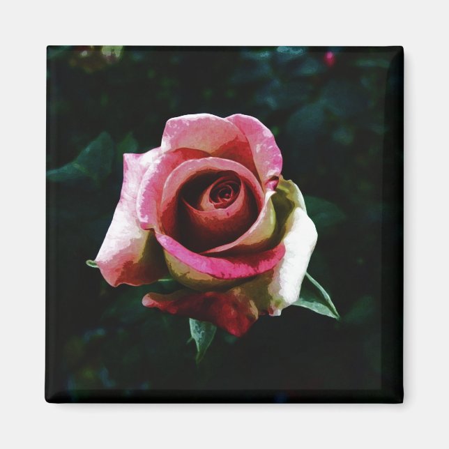 Íman Rosa pintada a óleo (Frente)