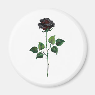Íman Rosa preto