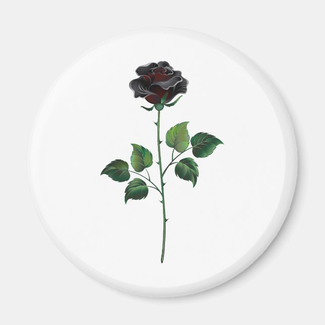 Íman Rosa preto (Frente)