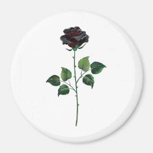 Íman Rosa preto