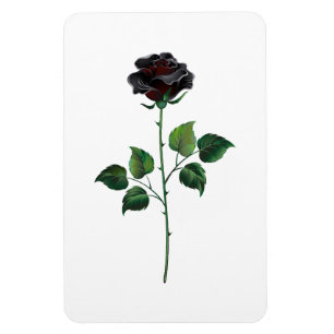 Íman Rosa preto