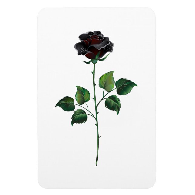 Íman Rosa preto (Vertical)