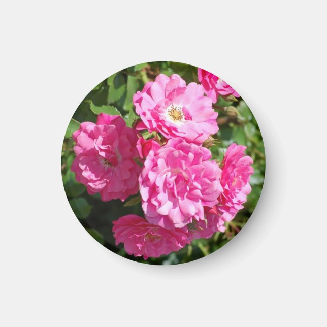 Íman rosa_rosa (Frente)