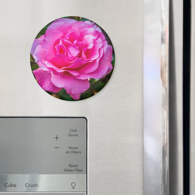 Íman Rosa rosa delicada. (In Situ (Fridge))