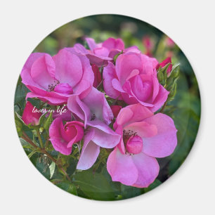 Íman Rosa Rosa Lavanda