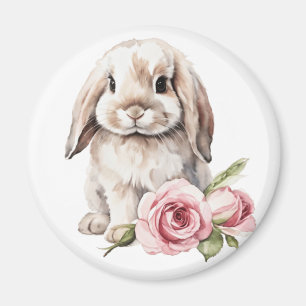 Íman Rosa Rosa Lop Olhou Coelho Olhado