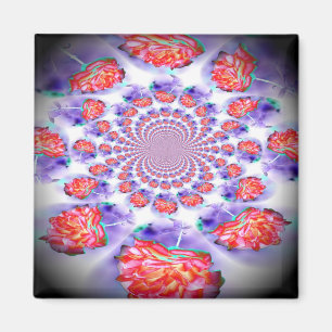 Íman Rosa Rosa Rosa Invertida