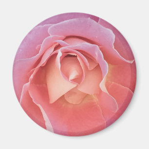 Íman Rosa Rosa Rosa Lusciosa