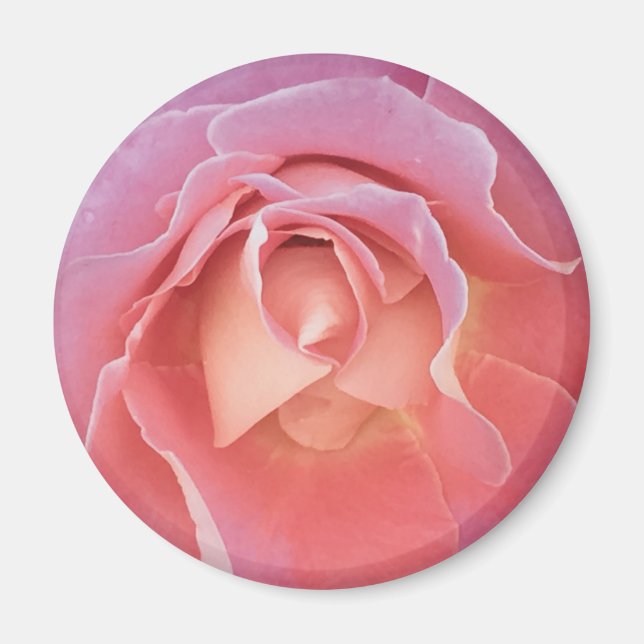 Íman Rosa Rosa Rosa Lusciosa (Frente)