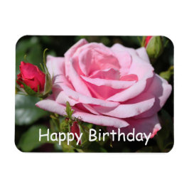 Íman rosa rosa rosa rosa flores feliz aniversário. amor