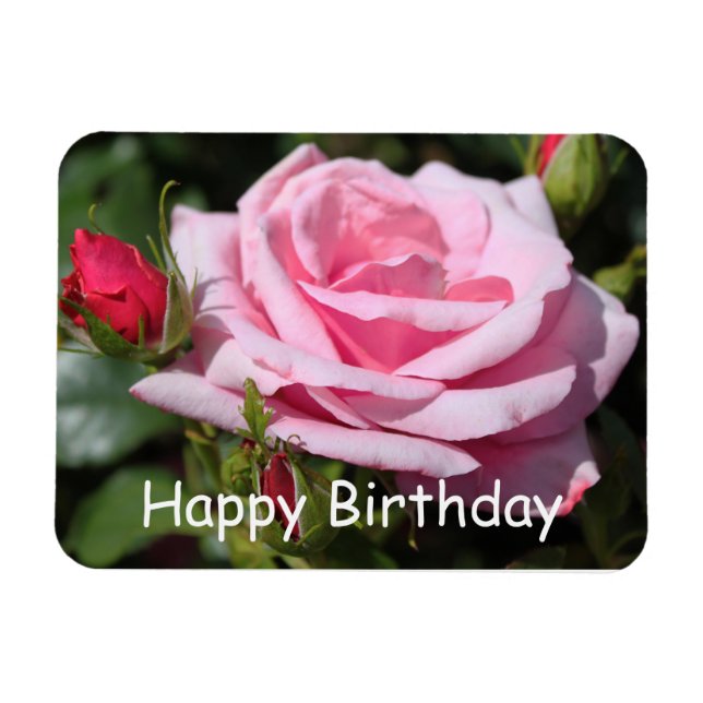 Íman rosa rosa rosa rosa flores feliz aniversário. amor (Horizontal)