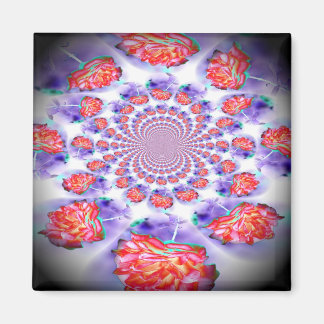 Íman Rosa Rosa Rosa Rosa Invertida