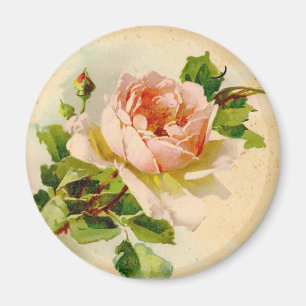 Íman Rosa Rosa Rosa Vitoriana