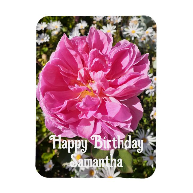 Íman Rosa rosa Rosas Flores Flores Aniversário Floral (Vertical)