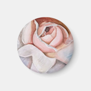 Íman Rosa rosa suave em aquarela por Jodi Mahaffey