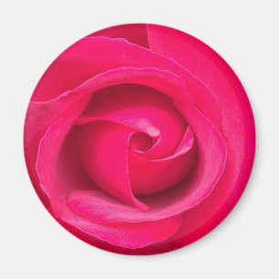 Íman Rosa Rosa Vermelha Romântica