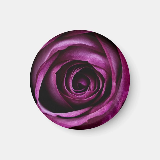 Íman Rosa Roxa Escura Vista de Perto (Frente)