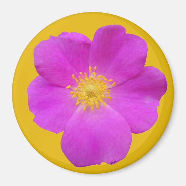 Íman Rosa selvagem 2 (Frente)
