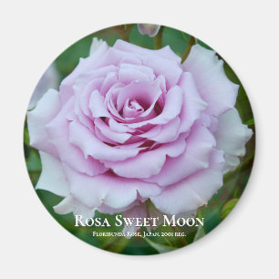 Íman Rosa Sweet Moon