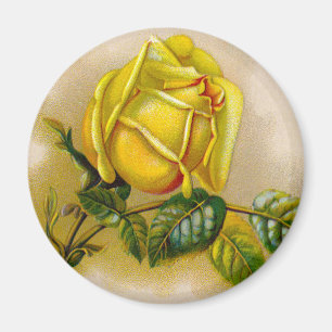 Íman Rosa Trabalho de arte Impressão de Belas Arte Ama