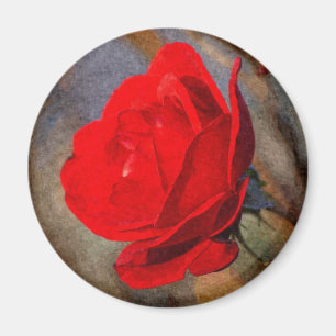 Íman Rosa Vermelha