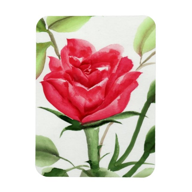 Íman Rosa vermelha (Vertical)
