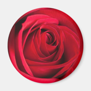 Íman Rosa vermelha