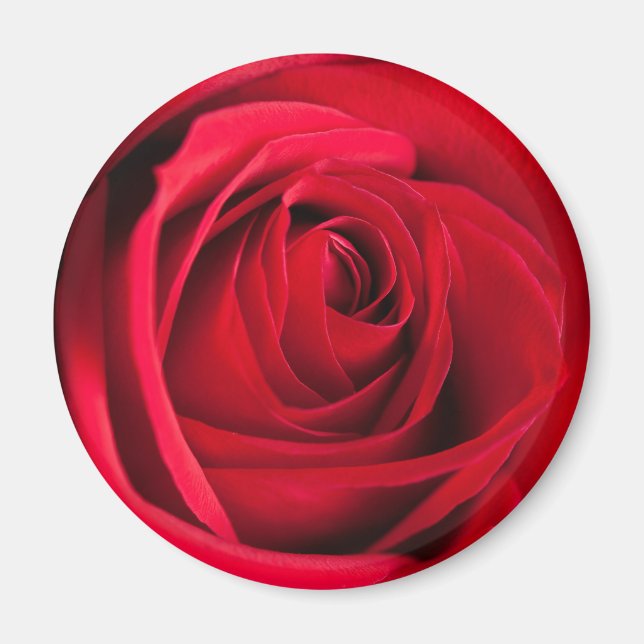 Íman Rosa vermelha (Frente)