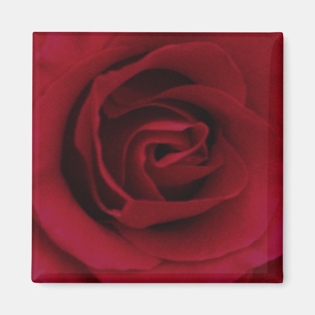Íman Rosa vermelha (Frente)