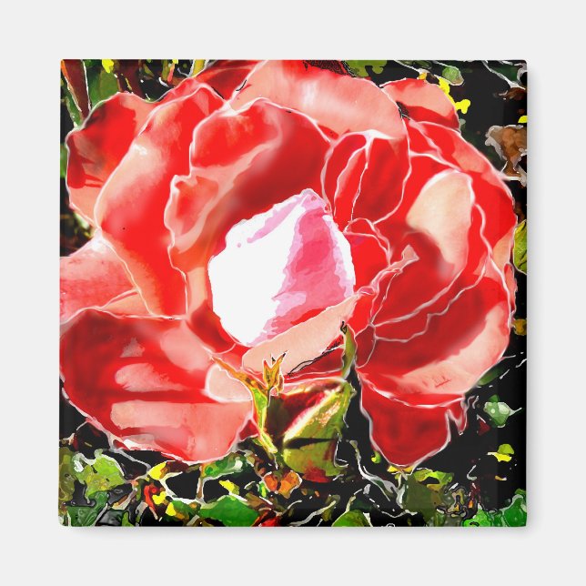 Íman Rosa vermelha (Frente)