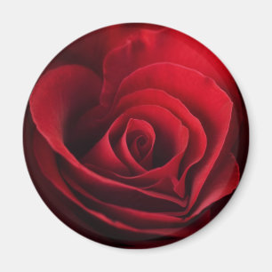 Íman Rosa vermelha dos namorados