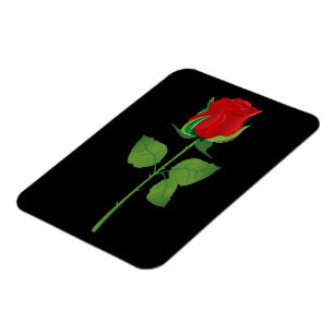Íman Rosa vermelha longa da haste
