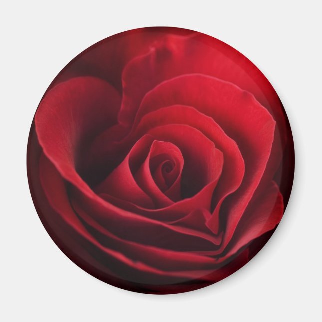 Íman Rosa vermelha namorados (Frente)