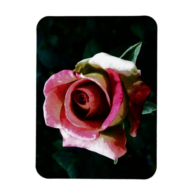 Íman Rosa vermelha pintada a óleo (Vertical)